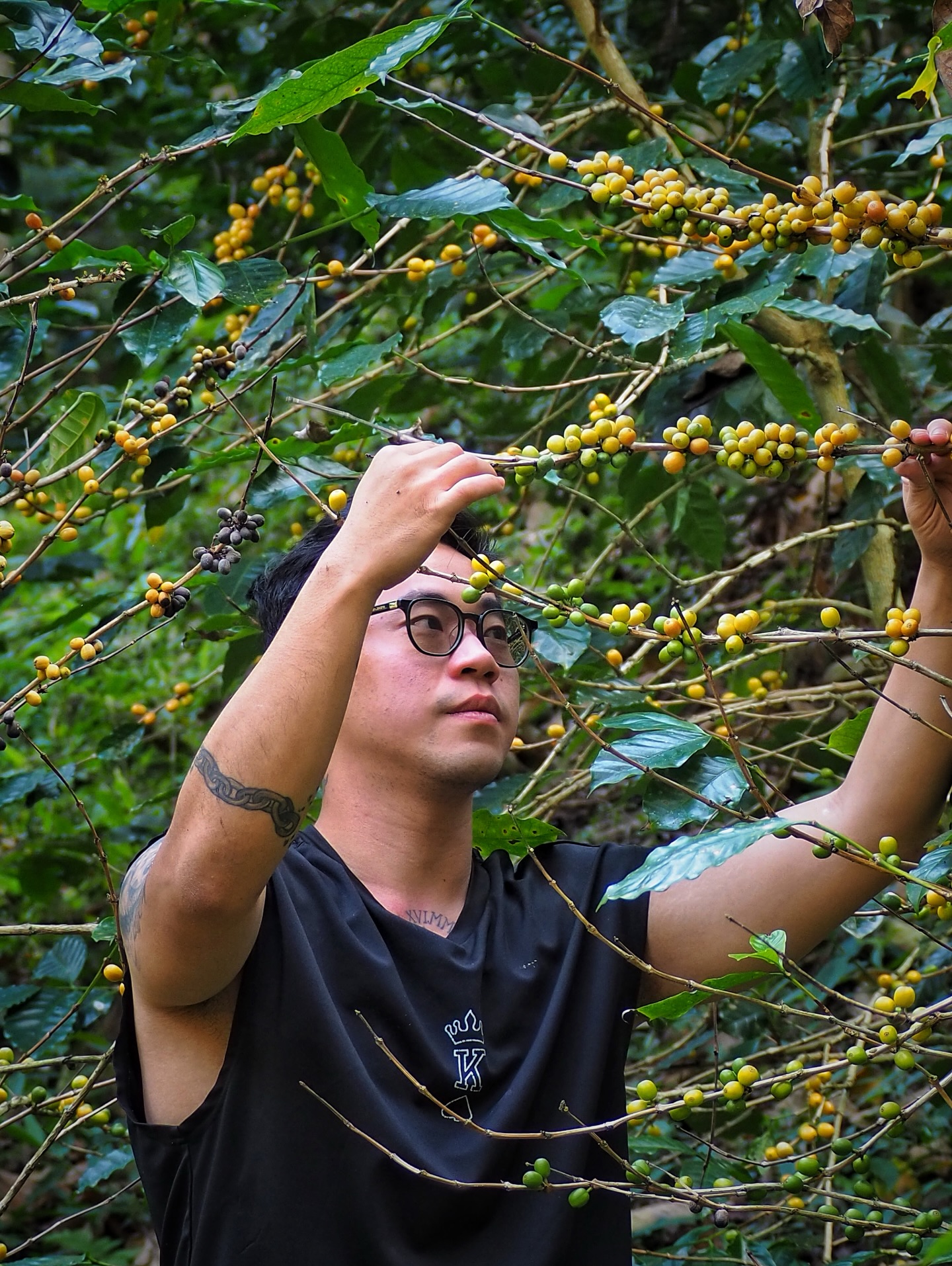 Attention Palembang Digital Nomads! I've found the workspace of your dreams 3