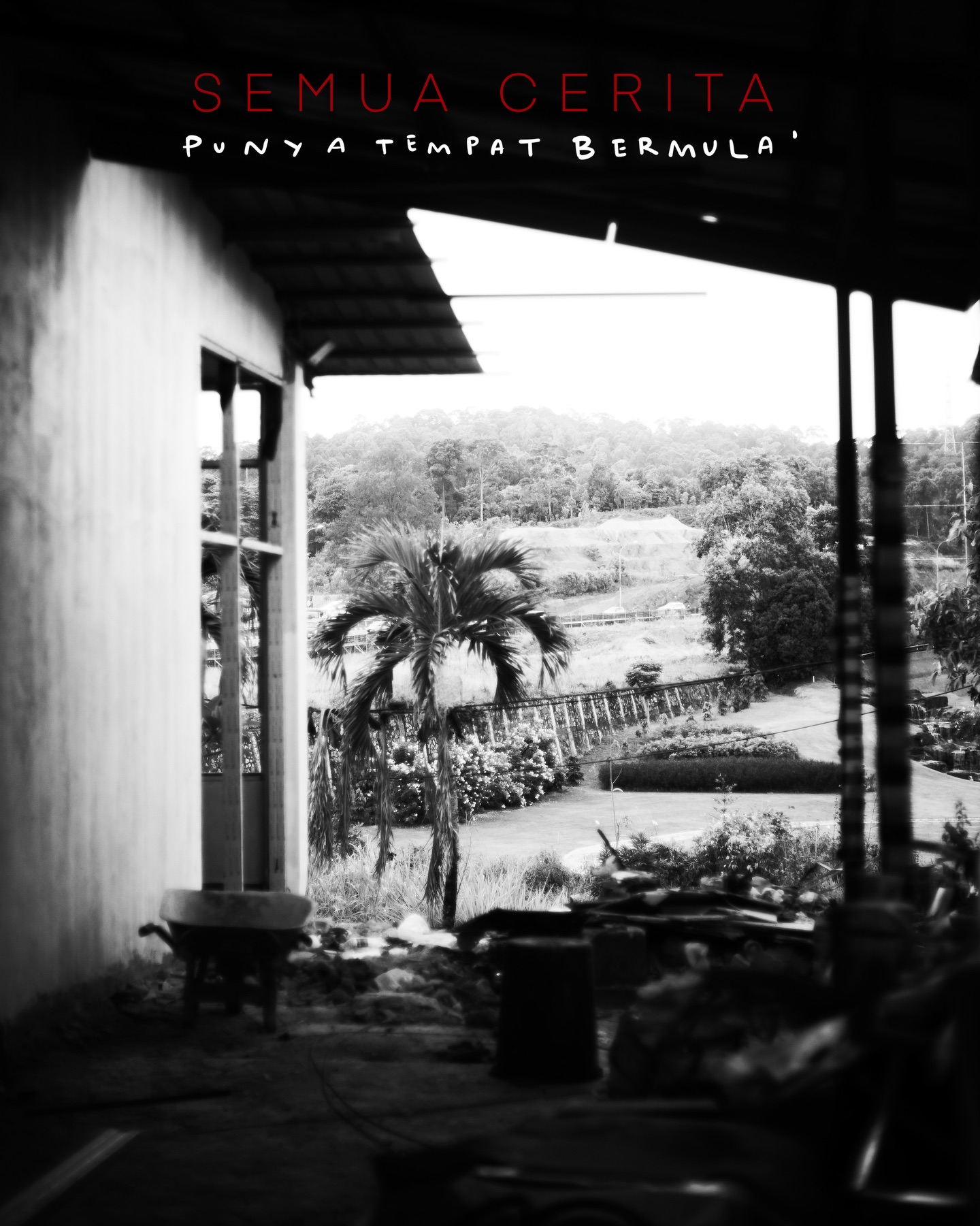 Google 4.8分就这?巴淡Amati,一家让我又爱又恨的咖啡馆 3